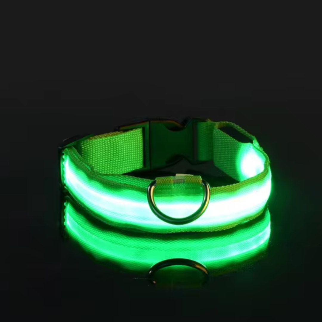Collare per cani Nylon LED-ZIM™