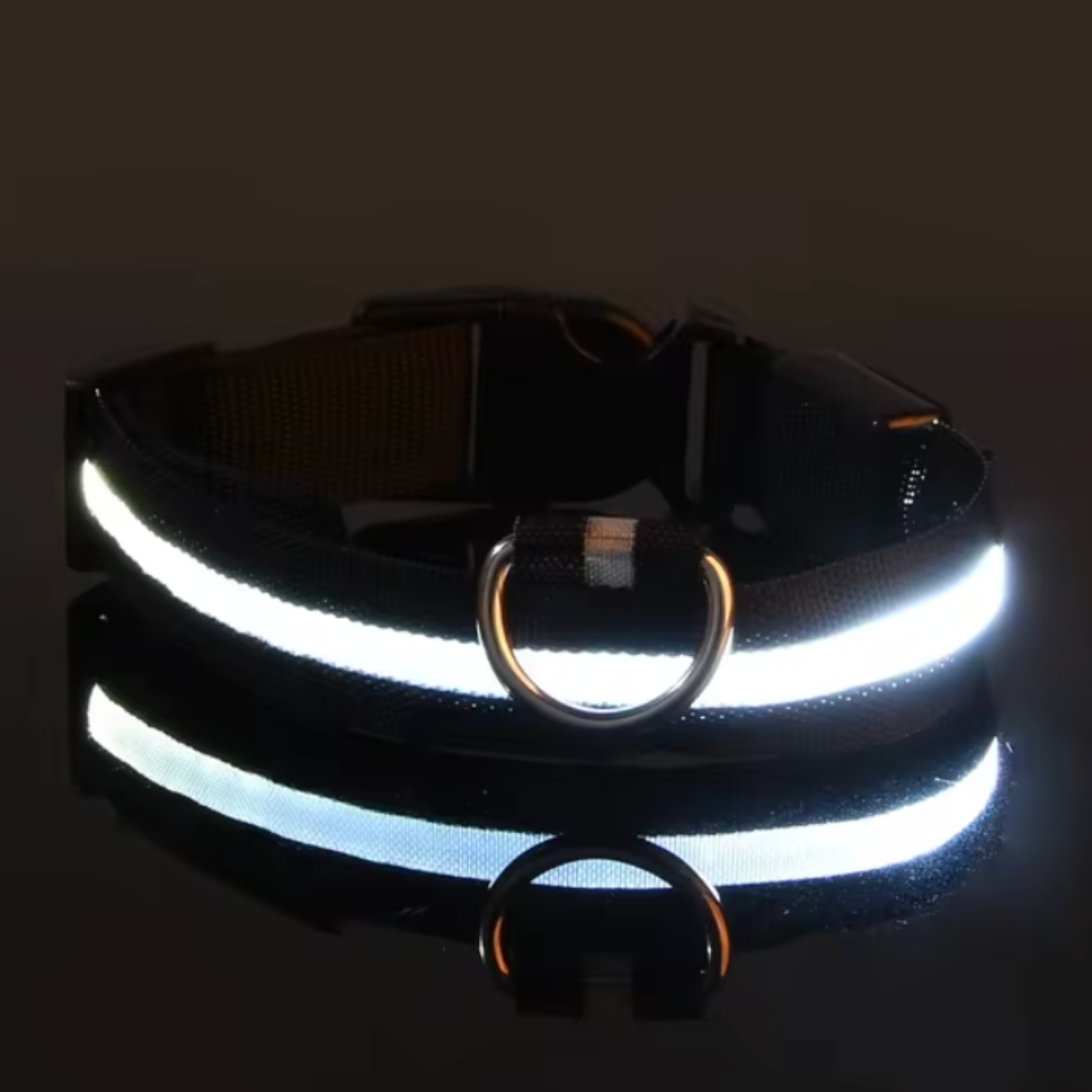 Collare per cani Nylon LED-ZIM™
