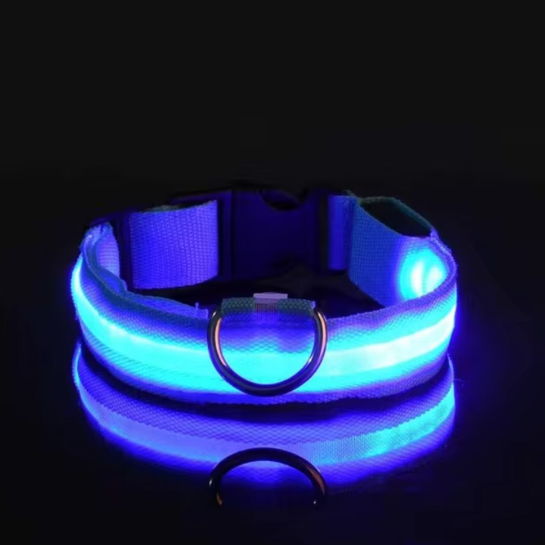 Collare per cani Nylon LED-ZIM™