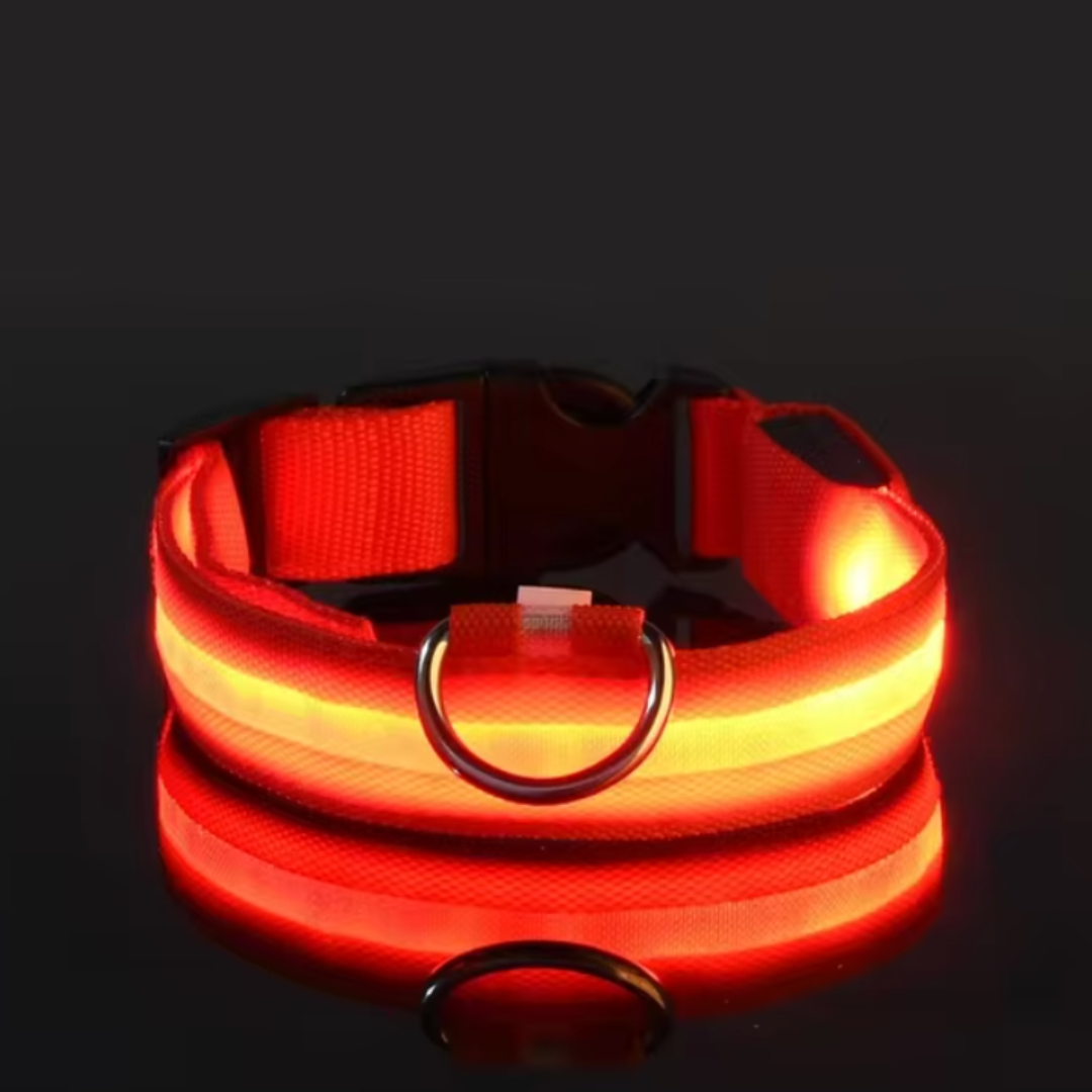 Collare per cani Nylon LED-ZIM™