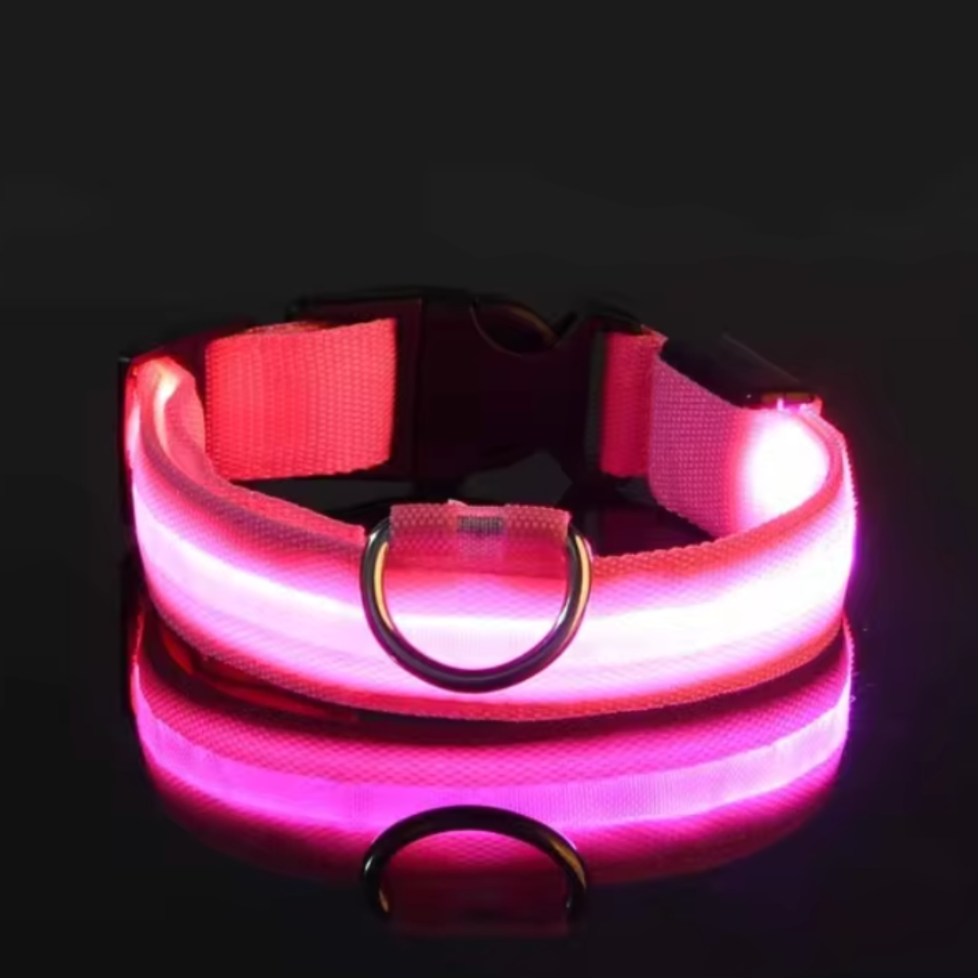 Collare per cani Nylon LED-ZIM™