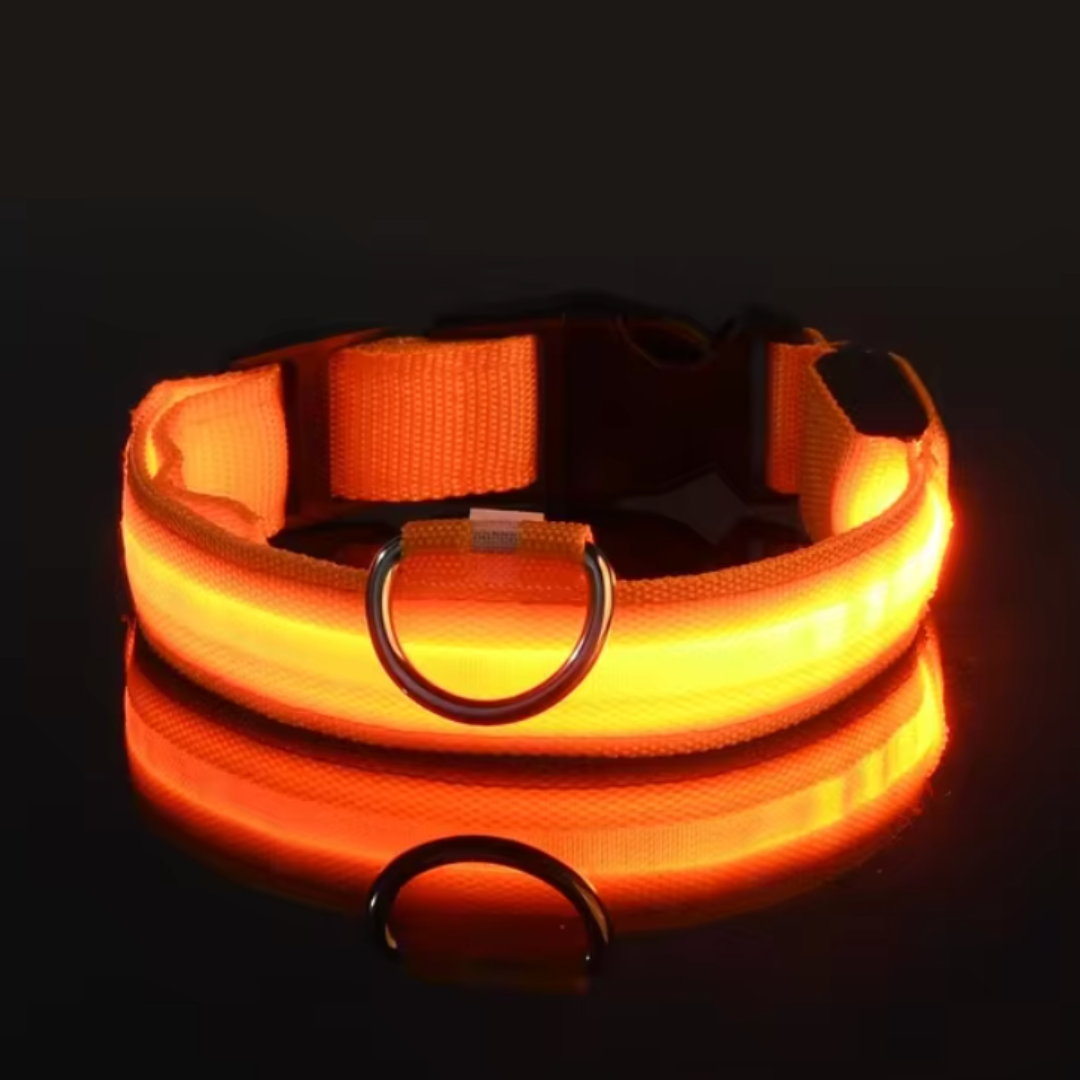 Collare per cani Nylon LED-ZIM™