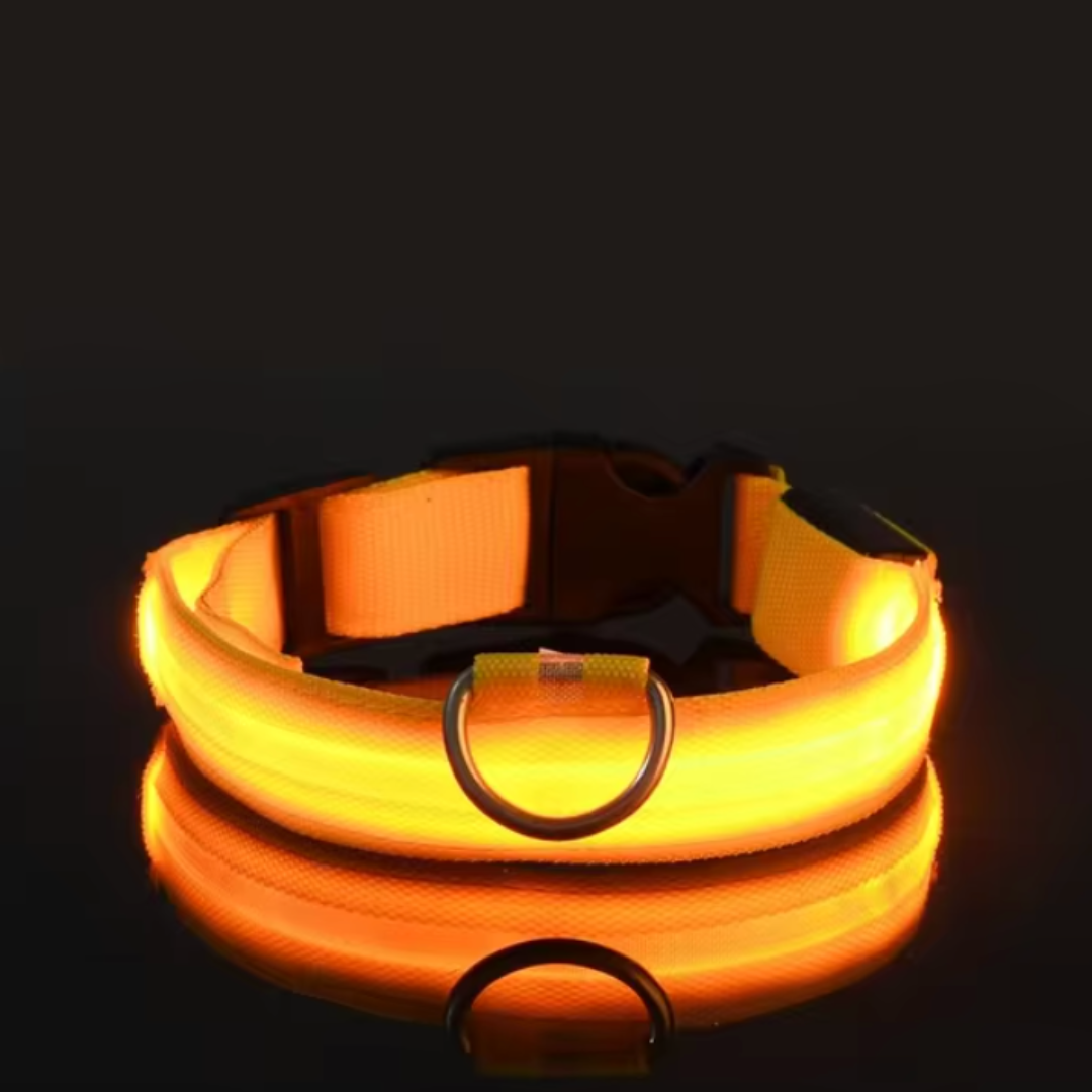 LED-ZIM™ Hundehalsband aus Nylon