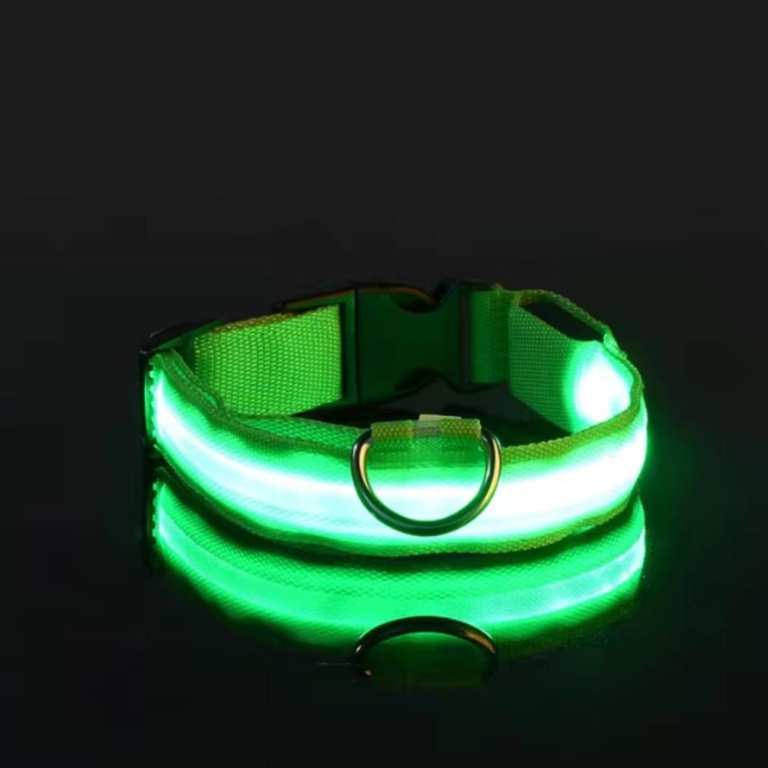 LED-ZIM™ Hundehalsband aus Nylon