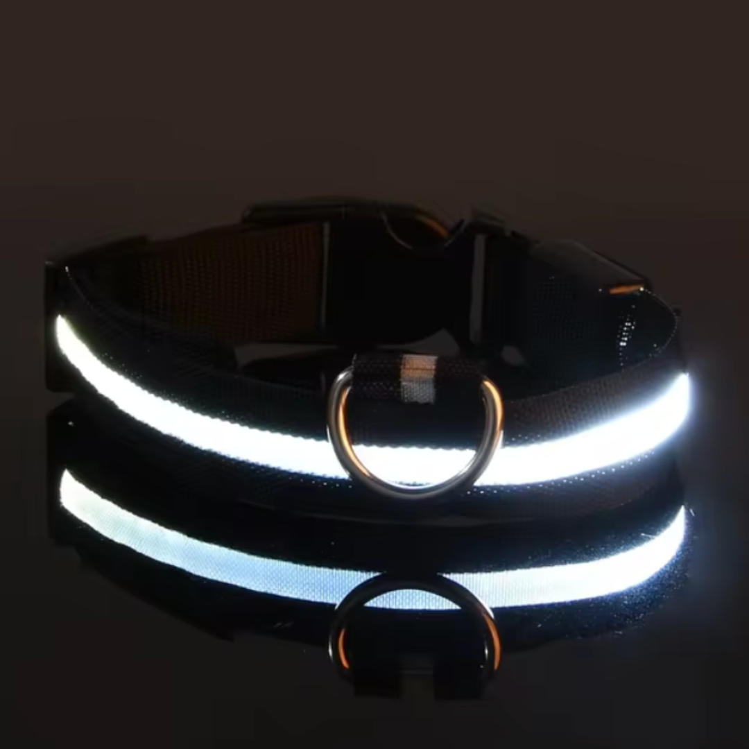 LED-ZIM™ Hundehalsband aus Nylon