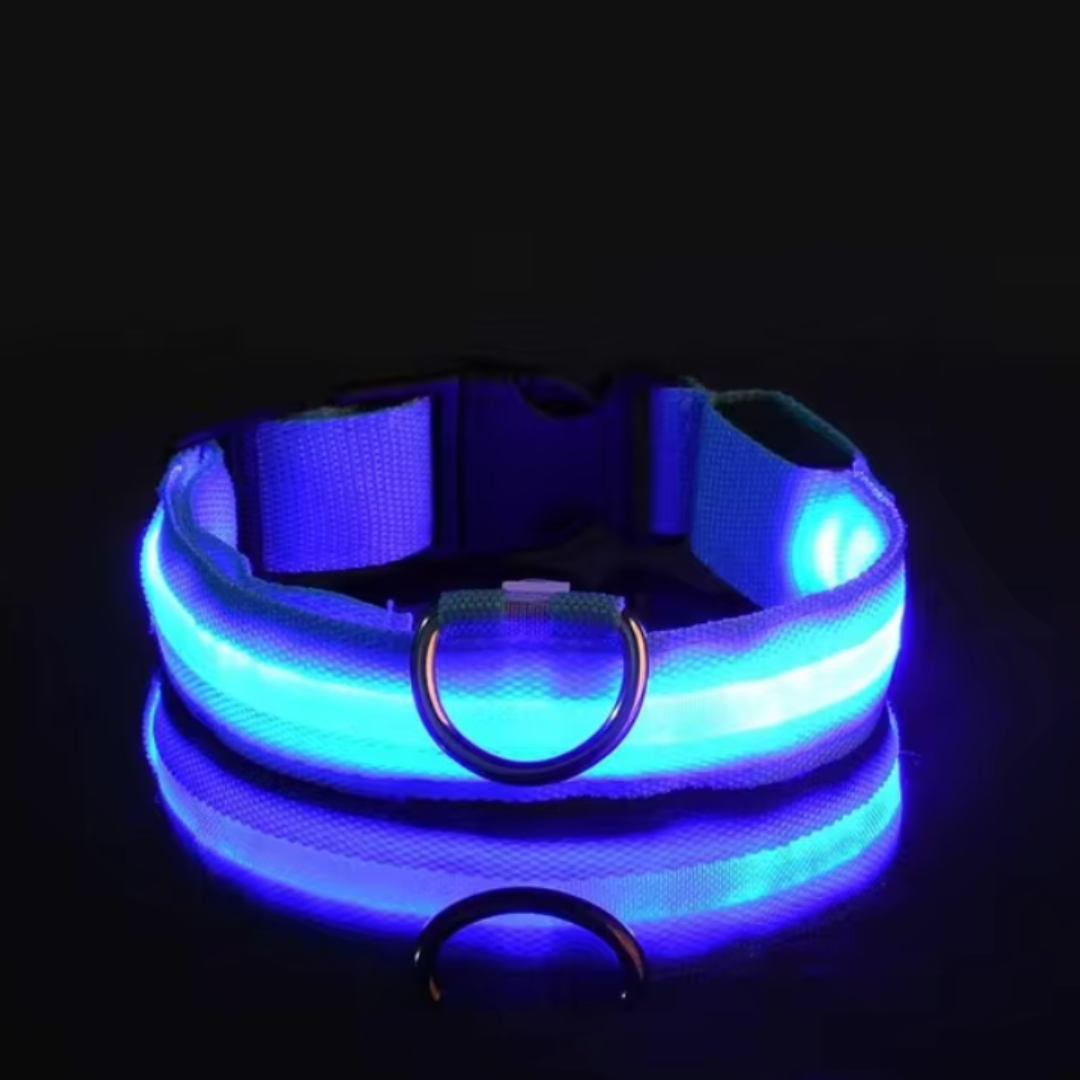 LED-ZIM™ Hundehalsband aus Nylon