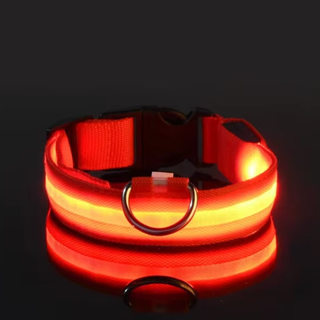 LED-ZIM™ Hundehalsband aus Nylon