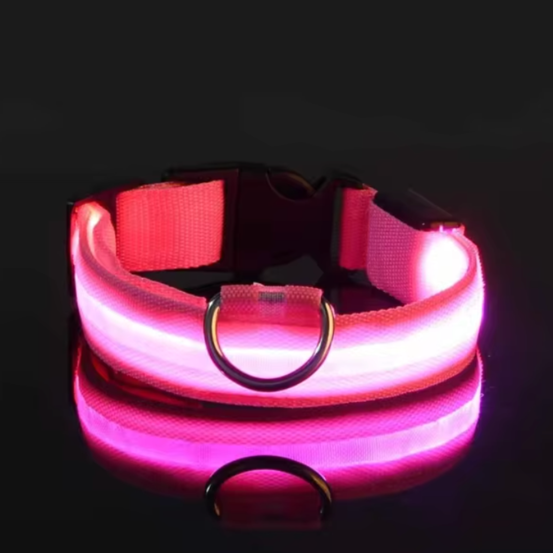 LED-ZIM™ Hundehalsband aus Nylon