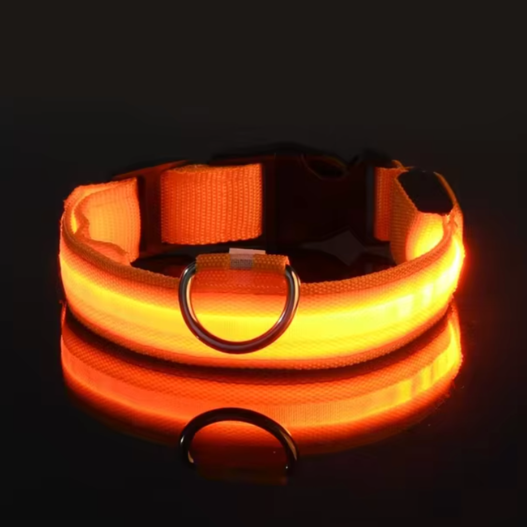 LED-ZIM™ Hundehalsband aus Nylon